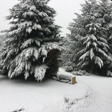 Вилла Terrazas Del Lopez Сан-Карлос-де-Барилоче Экстерьер фото
